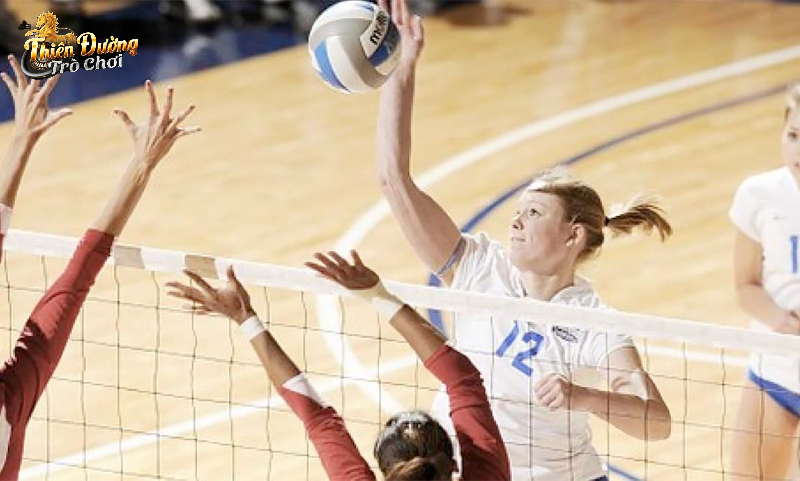 Cược tổng điểm của cả trận đấu bóng chuyền TDTC